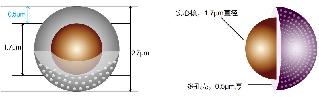 核殼.jpg