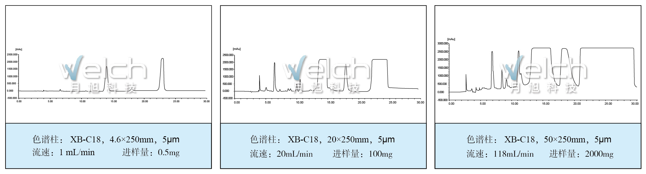 表格_畫(huà)板 7.jpg